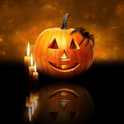 Halloween, tradizioni e decorazioni